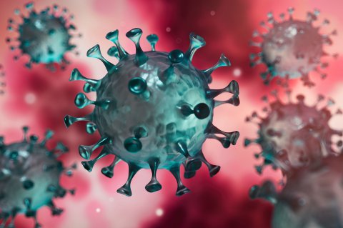 NEWSLETTER SPECIALE CORONAVIRUS NEWSLETTER SPECIALE CORONAVIRUS